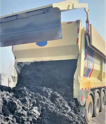 Truck Trailer met Wosheng Model Intelligent Crawler Belt en Automatic Conveyor Belt