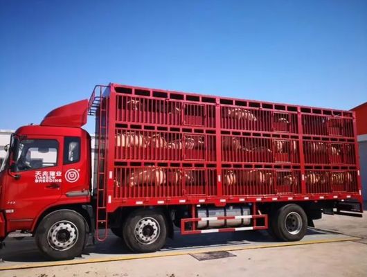 Trucktrailer voor het vervoer van vee 3 assen 20-40 ton Hoge hek Halve aanhangwagen
