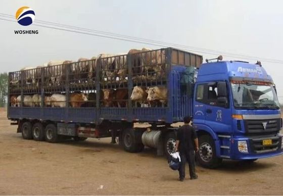 3 assen 20-60tons High Fence Semi-trailer met SAF Two Speed 28t Heavy Duty Landing Gear